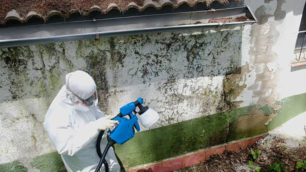 Top rated local Mold Inspection specialists in Sproul, PA